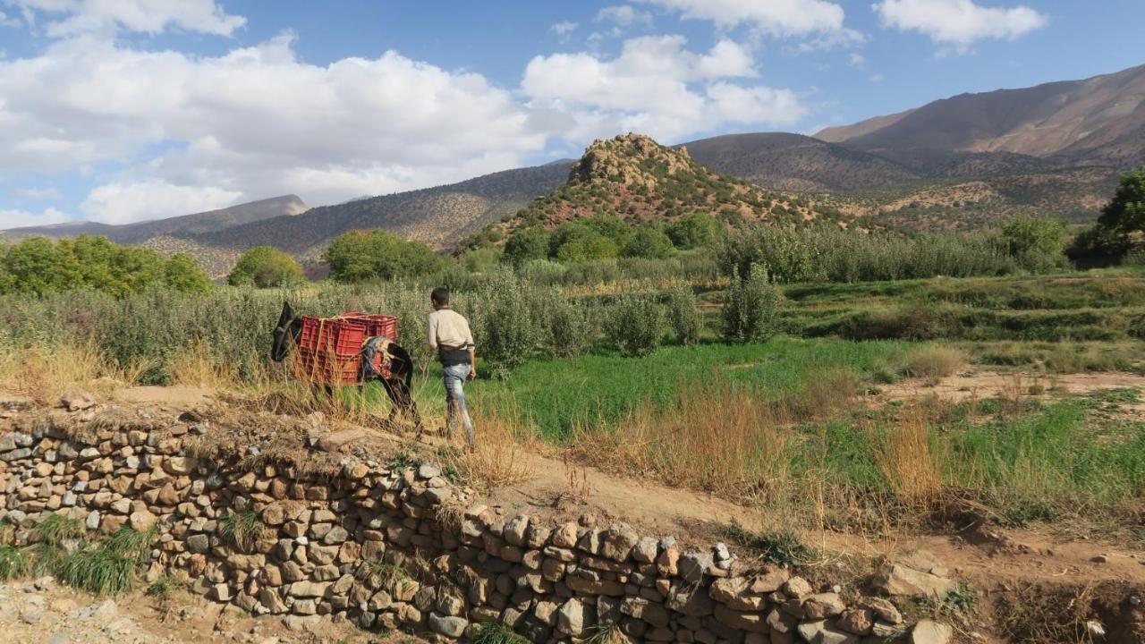Alliance Berbere - Vallee D'Ait Bouguemez Timit Bagian luar foto